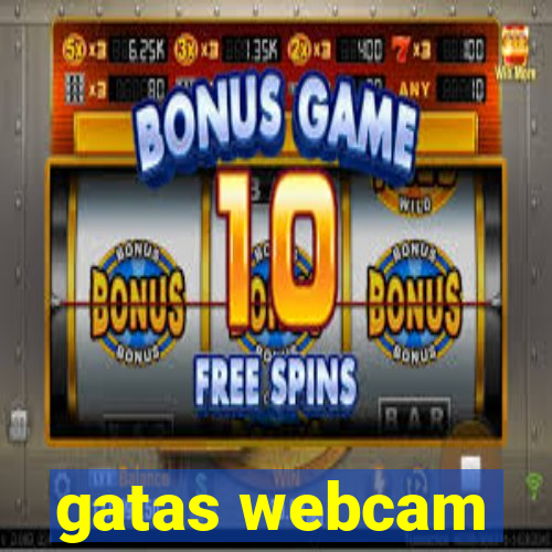 gatas webcam